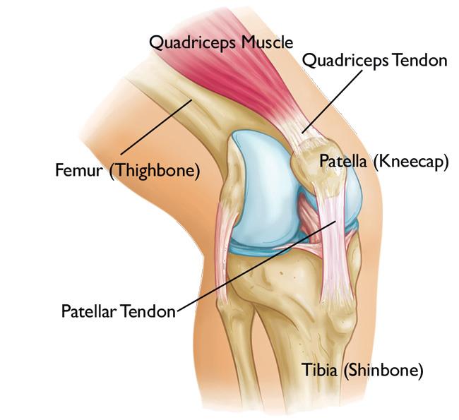 types of knee surgery FixBones